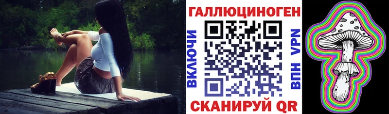 Купить где  Нижняя Салда  Галлюциногенные грибы Psilocybe 