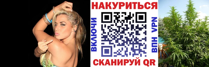 Канабис SATIVA & INDICA  Купить закладки  Нижняя Салда 